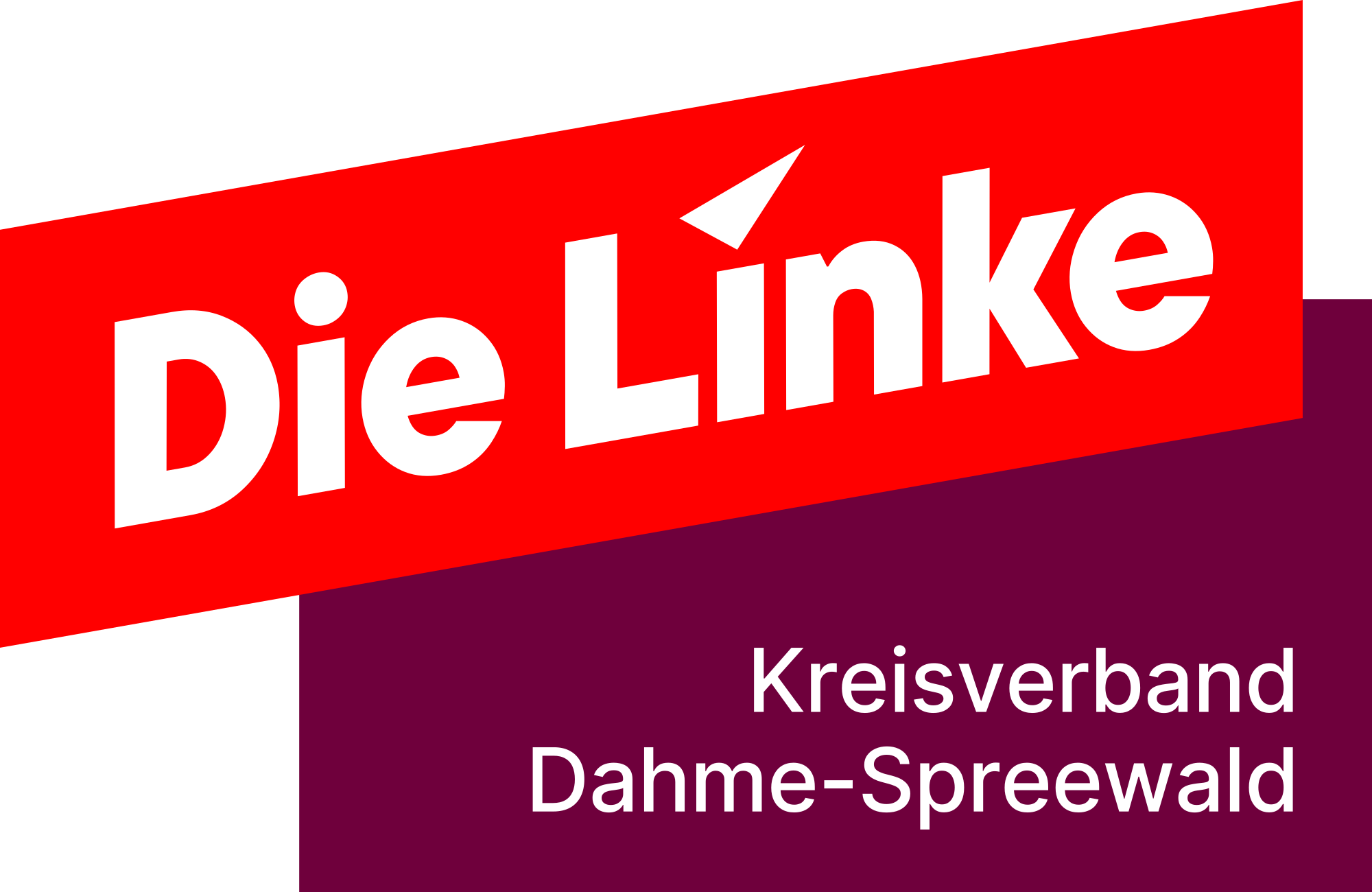dielinke-lds